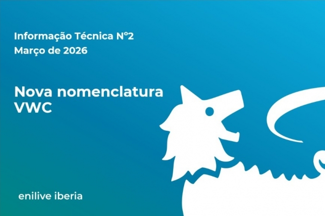 Informação Técnica Nº2 de 2026