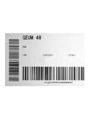 Geum 40